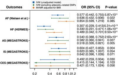 Self-Reported Walking Pace and Risk of Cardiovascular Diseases: A Two-Sample Mendelian Randomization Study